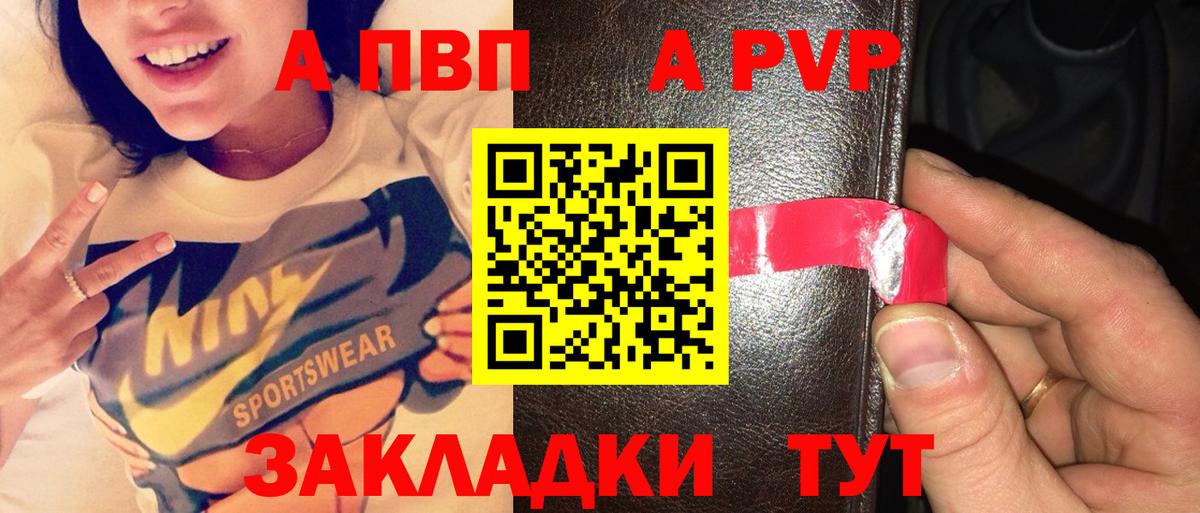 Альфа ПВП СК Калининград