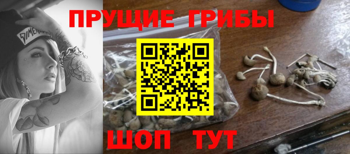 Калининград  Галлюциногенные грибы мухоморы  Вход с VPN 